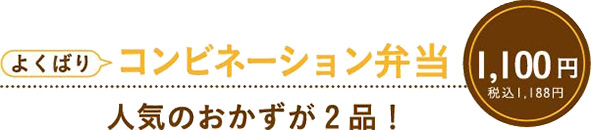 よくばりコンビネーション弁当