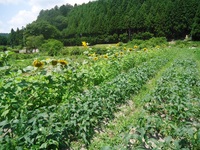 2014-06-25 11.16.19.jpg