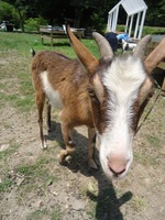 2014-06-25 11.19.24.jpg