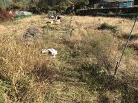 2016-11-13 19.48.19.jpg